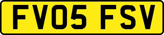 FV05FSV