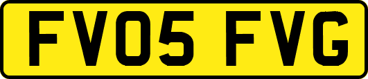 FV05FVG