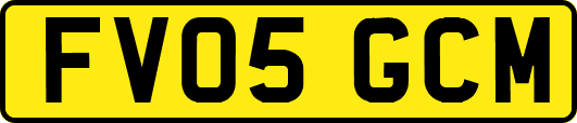 FV05GCM