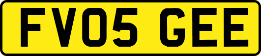 FV05GEE