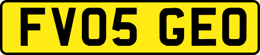 FV05GEO