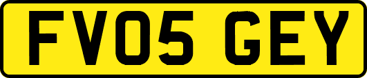 FV05GEY