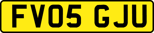 FV05GJU
