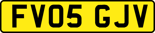 FV05GJV