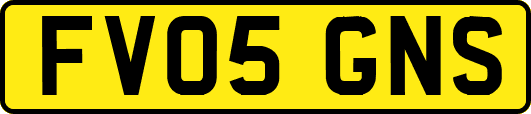 FV05GNS