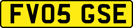 FV05GSE