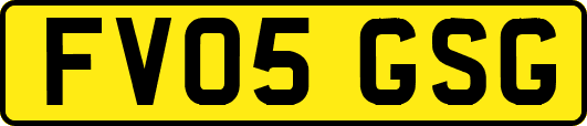 FV05GSG