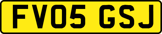 FV05GSJ