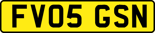 FV05GSN