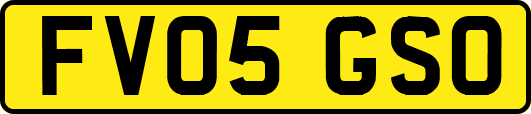 FV05GSO