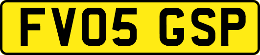 FV05GSP