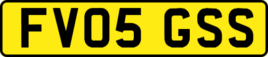 FV05GSS