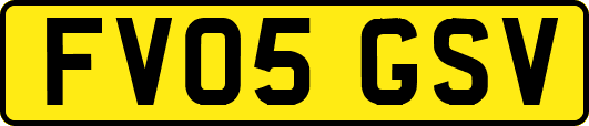 FV05GSV