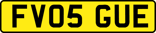FV05GUE