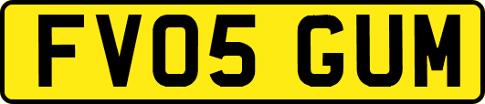 FV05GUM