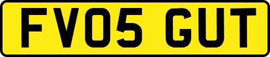 FV05GUT
