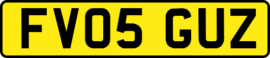 FV05GUZ
