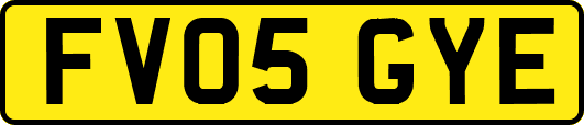 FV05GYE