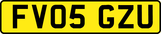 FV05GZU