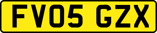 FV05GZX