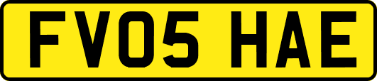 FV05HAE