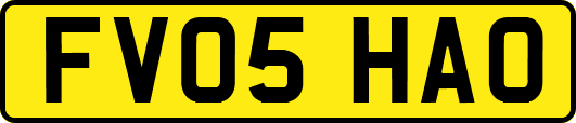 FV05HAO