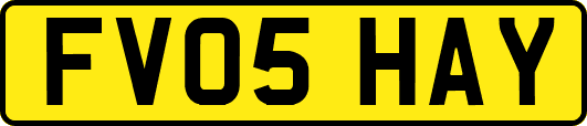 FV05HAY