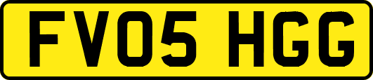FV05HGG