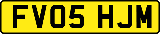 FV05HJM