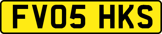 FV05HKS