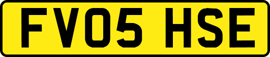FV05HSE