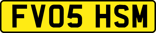FV05HSM