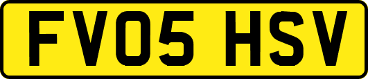 FV05HSV