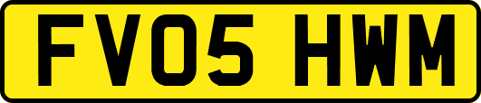 FV05HWM