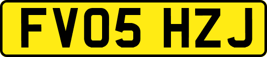 FV05HZJ