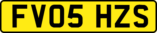 FV05HZS