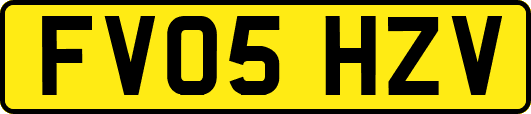 FV05HZV