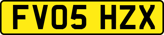 FV05HZX