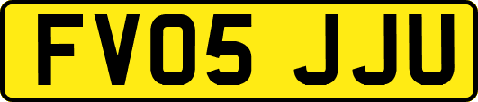 FV05JJU