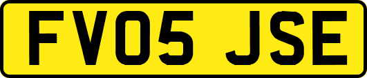 FV05JSE