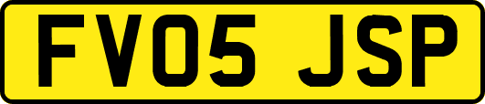 FV05JSP