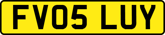 FV05LUY