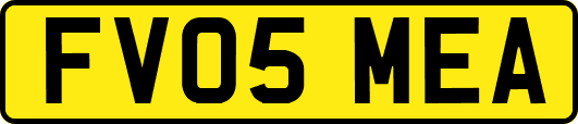 FV05MEA