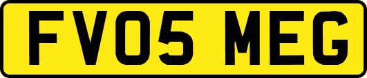 FV05MEG
