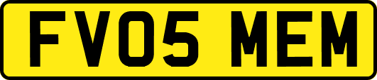 FV05MEM