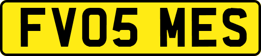 FV05MES