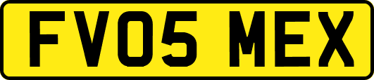 FV05MEX