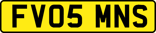 FV05MNS