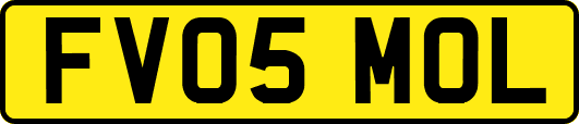 FV05MOL