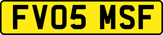 FV05MSF